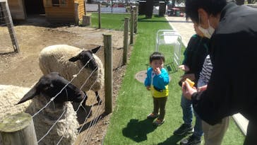 まかいの牧場に投稿された画像（2023/4/9）