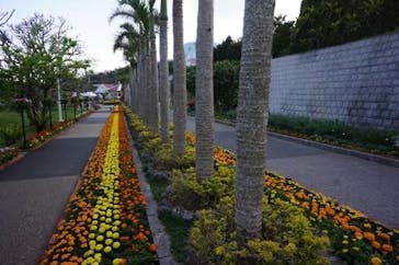 沖縄こどもの国に投稿された画像（2023/4/9）