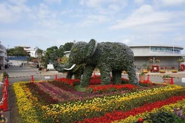沖縄こどもの国に投稿された画像（2023/4/9）