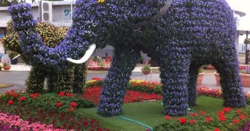 沖縄こどもの国に投稿された画像（2023/4/9）