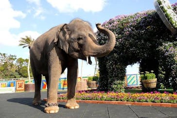 沖縄こどもの国に投稿された画像（2023/4/9）