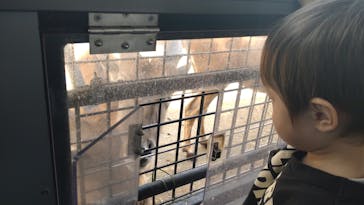 群馬サファリパークに投稿された画像（2023/4/9）