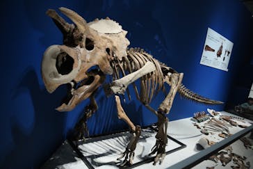 特別展「恐竜博2023」に投稿された画像（2023/4/9）