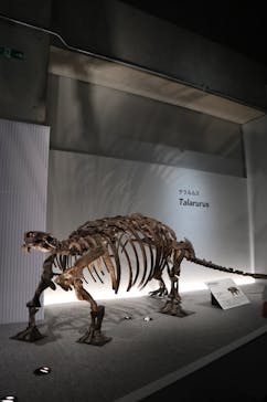 特別展「恐竜博2023」に投稿された画像（2023/4/9）