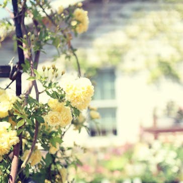 横浜イングリッシュガーデンに投稿された画像（2023/4/9）