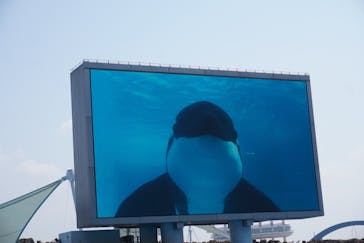 名古屋港水族館に投稿された画像（2023/4/9）
