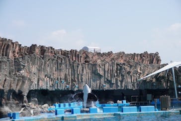 名古屋港水族館に投稿された画像（2023/4/9）