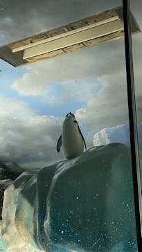 名古屋港水族館に投稿された画像（2023/4/9）