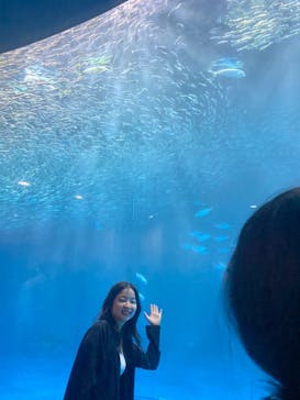 名古屋港水族館に投稿された画像（2023/4/9）