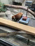 天王寺動物園に投稿された画像（2023/4/9）
