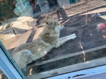 天王寺動物園に投稿された画像（2023/4/9）