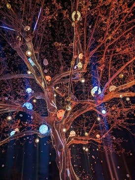 西武園ゆうえんちに投稿された画像（2023/4/7）