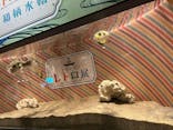 しながわ水族館に投稿された画像（2023/4/9）