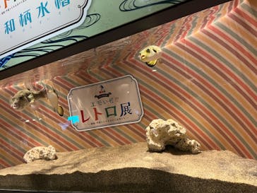 しながわ水族館に投稿された画像（2023/4/9）