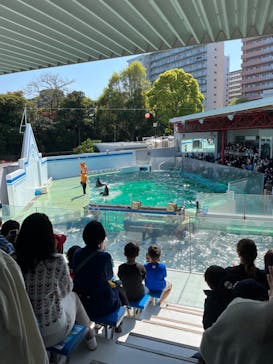 しながわ水族館に投稿された画像（2023/4/9）
