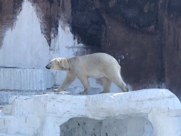 天王寺動物園に投稿された画像（2023/4/9）