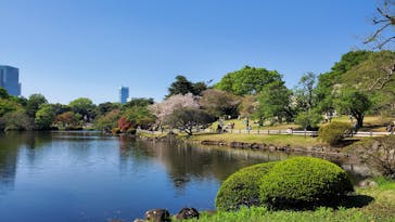 新宿御苑に投稿された画像（2023/4/9）