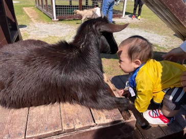 ワールド牧場に投稿された画像（2023/4/9）