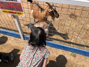 ワールド牧場に投稿された画像（2023/4/9）