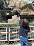 東武動物公園に投稿された画像（2023/4/9）