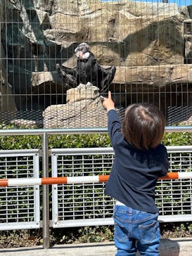 東武動物公園に投稿された画像（2023/4/9）