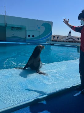 南知多ビーチランド＆南知多おもちゃ王国に投稿された画像（2023/4/9）