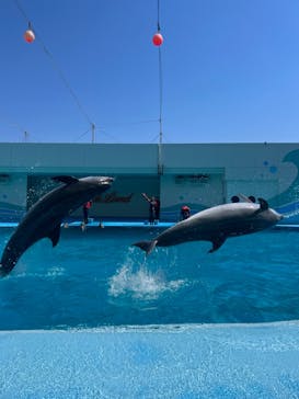 南知多ビーチランド＆南知多おもちゃ王国に投稿された画像（2023/4/9）