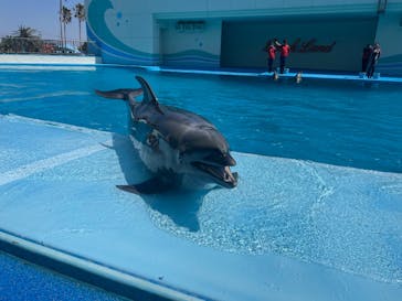 南知多ビーチランド＆南知多おもちゃ王国に投稿された画像（2023/4/9）