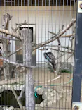 天王寺動物園に投稿された画像（2023/4/9）