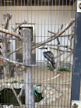 天王寺動物園に投稿された画像（2023/4/9）