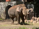 よこはま動物園ズーラシアに投稿された画像（2023/4/9）