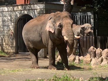 よこはま動物園ズーラシアに投稿された画像（2023/4/9）