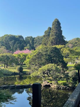 新宿御苑に投稿された画像（2023/4/9）