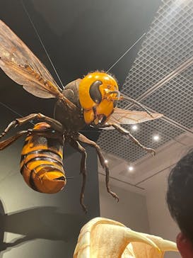 特別展「毒」に投稿された画像（2023/4/9）