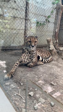 群馬サファリパークに投稿された画像（2023/4/9）