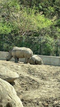 群馬サファリパークに投稿された画像（2023/4/9）