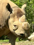 よこはま動物園ズーラシアに投稿された画像（2023/4/9）