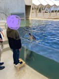 城崎マリンワールドに投稿された画像（2023/4/9）