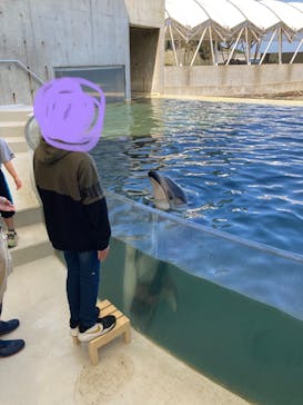 城崎マリンワールドに投稿された画像（2023/4/9）