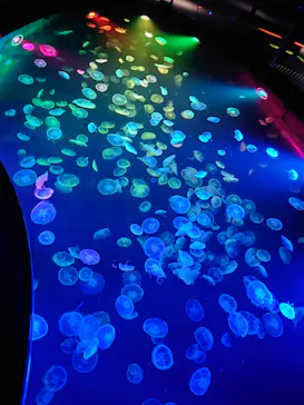 すみだ水族館に投稿された画像（2023/4/9）