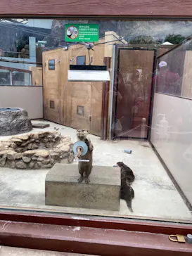 横浜・八景島シーパラダイスに投稿された画像（2023/4/9）