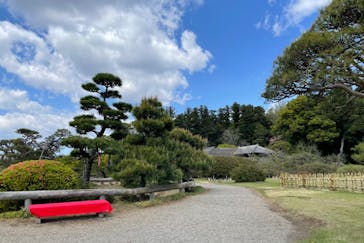 偕楽園本園に投稿された画像（2023/4/9）