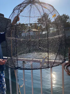 横浜・八景島シーパラダイスに投稿された画像（2023/4/9）