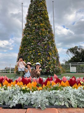 沖縄こどもの国に投稿された画像（2023/4/9）