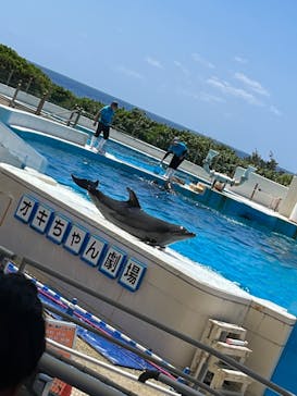 沖縄美ら海水族館に投稿された画像（2023/4/9）