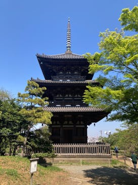 三溪園に投稿された画像（2023/4/9）