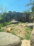 天王寺動物園に投稿された画像（2023/4/9）