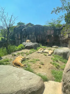 天王寺動物園に投稿された画像（2023/4/9）