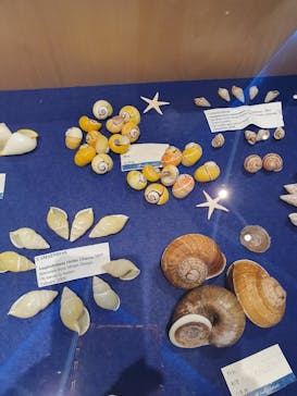 古宇利オーシャンタワーに投稿された画像（2023/4/9）