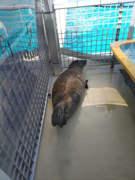 伊豆・三津シーパラダイスに投稿された画像（2023/4/9）